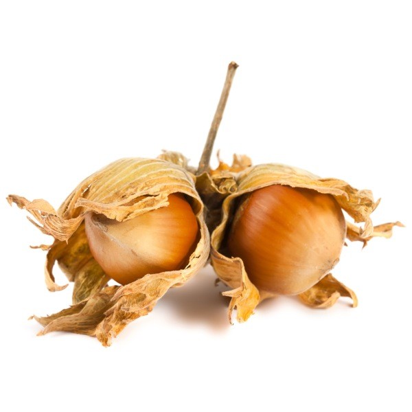 E-liquide Noisette
