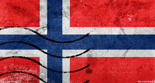 Norvège : le gouvernement choisit de transposer la TPD