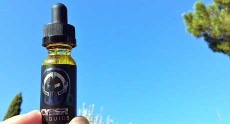 Test : Ice Ice Berry – Cyber Liquids