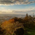La Nouvelle-Zélande s’ouvre à la réduction du risque tabagique