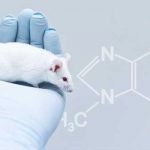 La nicotine augmenterait la sensibilité au stress chez la souris