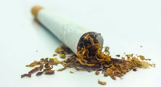 USA : réduire la nicotine des cigarettes, une bonne idée ?