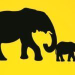 Nudge et lutte antitabac : des pissotières d’Amsterdam au Prix Nobel d’économie