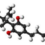 Un rapport de l’OMS souligne le potentiel du CBD