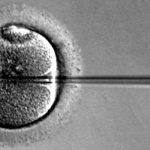 Angleterre : pas de fécondation in vitro pour les vapoteurs