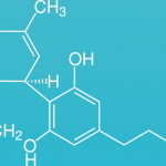 Interview : Laboratoire Tecalcor-Hemptech, le CBD à vaper, ce qu’il faut savoir
