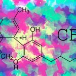 CBD : le cannabidiol comme outil de sevrage tabagique ?