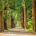 USA : il est désormais interdit de fumer dans les parcs de Naperville