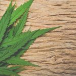 Imperial Brands réinvestit dans le cannabis