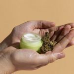 La France a publié son projet d’arrêté autorisant le CBD