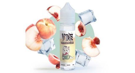 Test : Garde la pêche – V’ICE – VDLV