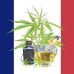 France : le Conseil d’État annule définitivement l’interdiction des fleurs et feuilles de CBD