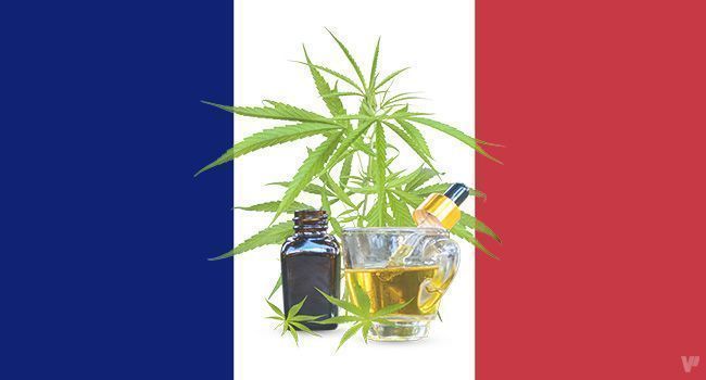 France : le Conseil d’État annule définitivement l'interdiction des fleurs et feuilles de CBD