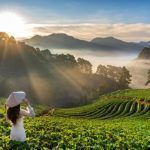 Vietnam : la criminalité pourrait augmenter à cause du vaping