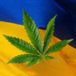 Ukraine : la guerre va-t-elle accélérer la légalisation du cannabis médical ?