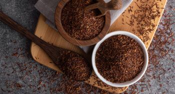 Rooibos