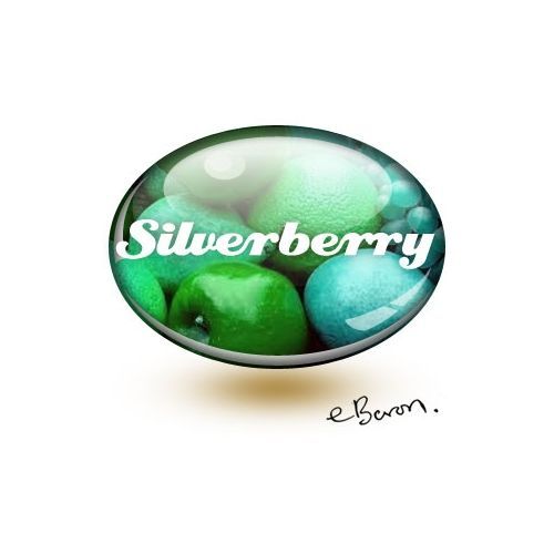 SilverBerry (eBaron Lab)