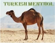 Turkish Menthol